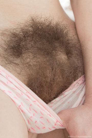 For The Love Of Hairy Women 2023